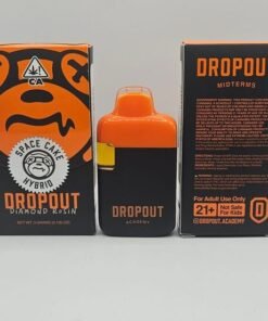 Dropout Academy Midterms – Space Cake (hybrid)